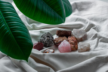 Different minerals on a white background with green leaf. Amethyst, tigers eye, meteorite, quartz....