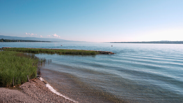 Artist Rivage รูปภาพRivage – เลือกดูภาพถ่ายสต็อก เวกเตอร์ และวิดีโอ82,806 | Adobe Stock