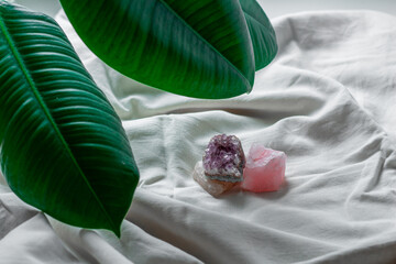 Different minerals on a white background with green leaf. Amethyst, tigers eye, meteorite, quartz....