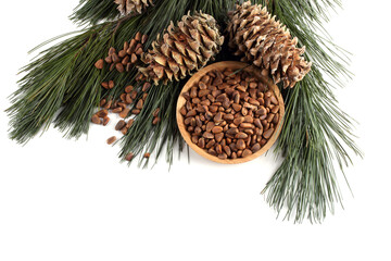 Cedar pine nuts