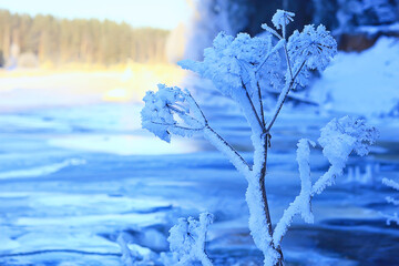 branches covered with frost background abstract winter december view