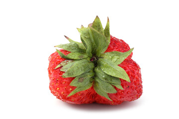 Fresh organic strawberry