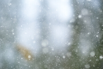 Obraz premium abstract blue background snow snowflakes, new year, glow design