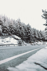 Obraz premium road in snow