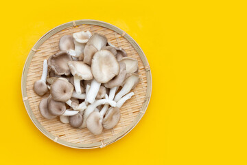 Fresh oyster mushroom in bamboo basket on yellow background.