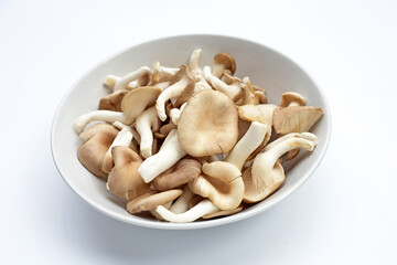 Fresh oyster mushroom in white bowl