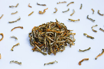 Dried bitter gourd on white background.