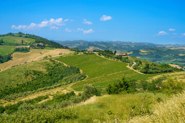 Country landscape near Castrocaro and Predappio, Emilia-Romagna