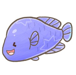 R:もっとメルヘンな水族館☆ナポレオンフィッシュ④