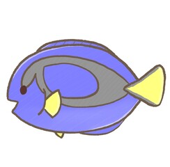 R:もっとメルヘンな水族館☆ナンヨウハギ①