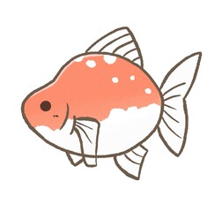 R:もっとメルヘンな水族館☆金魚①