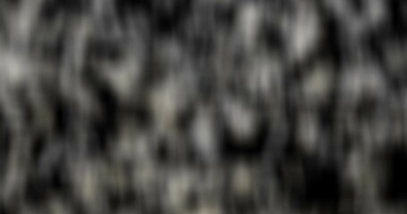 leopard fur texture, trendy effect