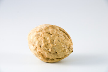 Single walnut in a shell isolated on white background