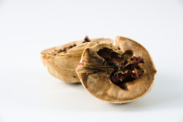 Rotten kernel of walnut in a shell isolated on white, detail