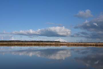 早春のサロベツ原野