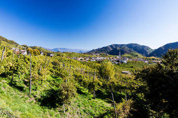 Valdobbiadene hill and prosecco vineyard