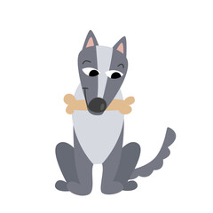 A gray cartoon wolf sits in a bone in a paste. Vector illustration of character and wild animal in flat style