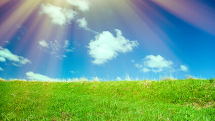 Fototapeta na wymiar Beautiful Green Meadow with white cloud