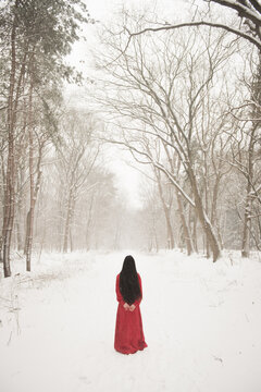 Fine art portrait of woman in red dress in white winter world in forest standing in snow