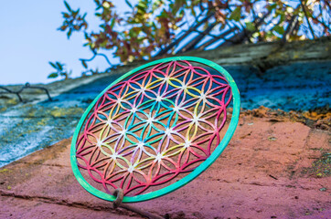 Flower of life element of sacred geometry painted with paints.