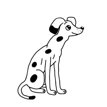 Hand drawn vector illustration a beautiful happy young white dog with black spots is sitting on a white background