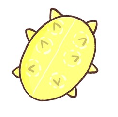 R:もっとメルヘンな果物☆キワノ④