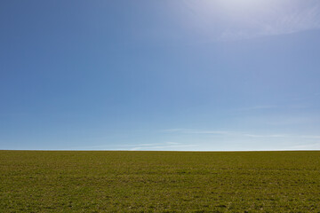 field and blue sky