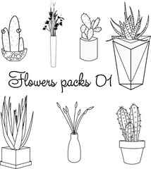 Flowers pack. Flowers in vases. Home garden