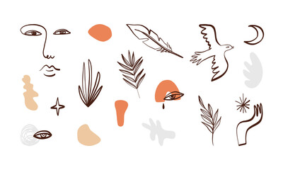 Line art minimalistic design elements set. Sketch style tree brunches, leaf, feather, dove, woman abstract portrait.