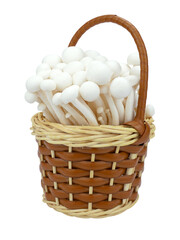 Shimeji mushrooms white varieties in a basket isolated on white background.