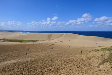 鳥取砂丘。山陰海岸国立公園の観光名所。鳥取、日本。10月中旬。