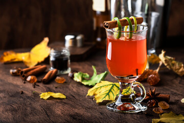 Hot punch, grog, winter warming cocktail drink with dark rum, port, honey, lime juice, tea, cinnamon and cloves in glass on vintage wooden background in autumn decoration
