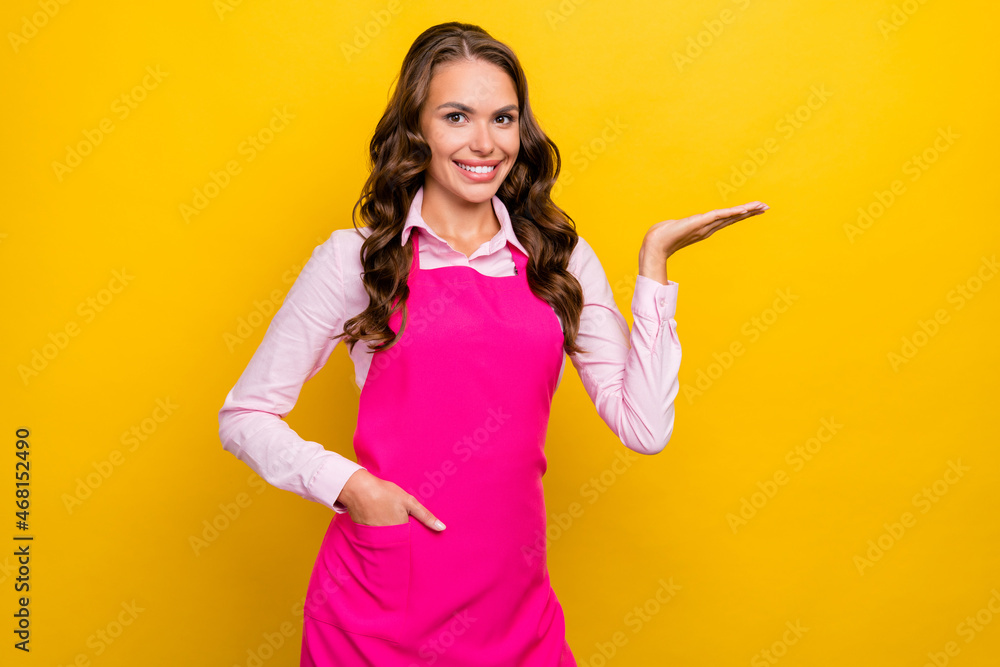 Poster Photo of nice millennial brunette housekeeper lady hold empty space wear pink shirt apron isolated on yellow color background