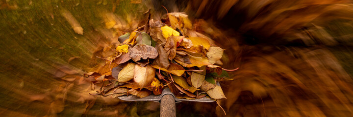 Autumn in the garden. Shovel with fallen leaves in motion over the grass of a yard. Yardwork banner.