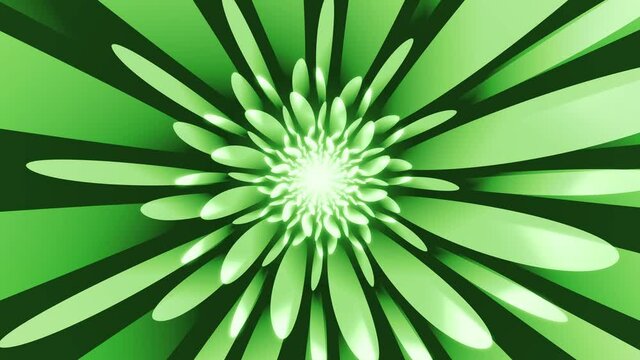 Abstract Green Background with Radial Curve Streaks Loop Animation