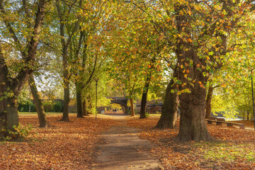 Park in Autumn.