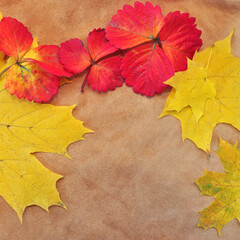 Autumn background. Yellow and red leaves on a beige suede, free space for text
