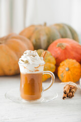 Cup with foam and cinnamon on background of pumpkins. Pumpkin autumn warming drink close-up and copy space...