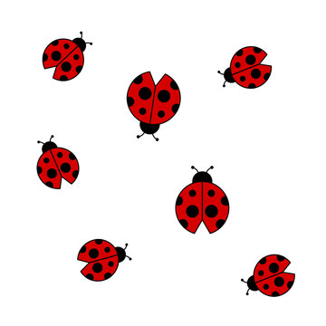 Set of ladybugs isolated on the white background