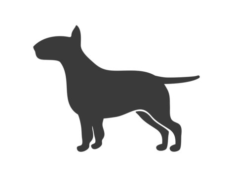 Bull terrier silhouette. Black dog outline, what pet, vector icon