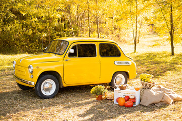 yellow retro car in autumn park background with flowers and pumpkins