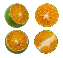 Calamansi or Green orange fruits isolated on white background