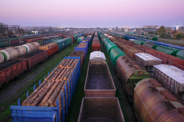 Fototapeta na wymiar transit, trains, transportation of goods. the railroad is expensive. import and export. Export of timber 
