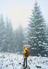 Misty forest with coniferous trees covered snow, traveler girl hiking alone at winter mysterious landscape