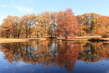 Herbstidyll im Cottbuser Park Branitz; Blick über den Pyramidensee im Fürst-Pückler-Park