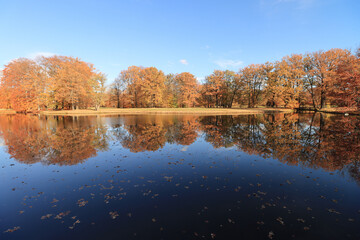 Goldener Herbst; Blick über den Pyramidensee im Fürst-Pückler-Park in Branitz 