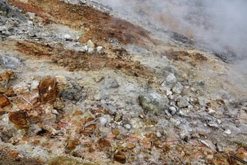 lichen on rock , image taken in Follonica, grosseto, tuscany, italy , larderello desert