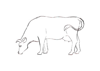 Farm animal. Cow sketch. Hand drawn. Black and white vector illustration isolated on white background.