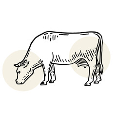 Farm animal. Cow sketch. Hand drawn. Vintage style. Vector illustration