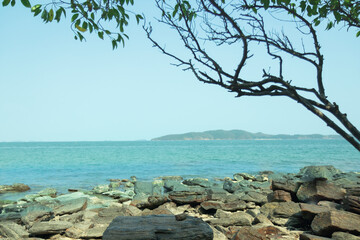 Rocks on the beach are dry trees and branches. There is blue water, island and sky as background. Nature travel concept